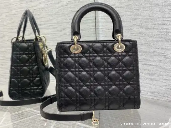 Tony Luxuries diro Lady large Calfskin-24cm Glod 0522